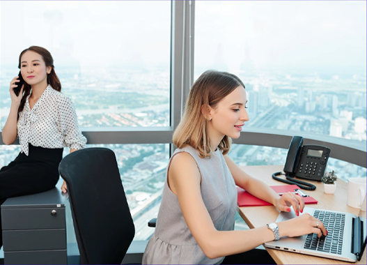 E-commerce Assistant